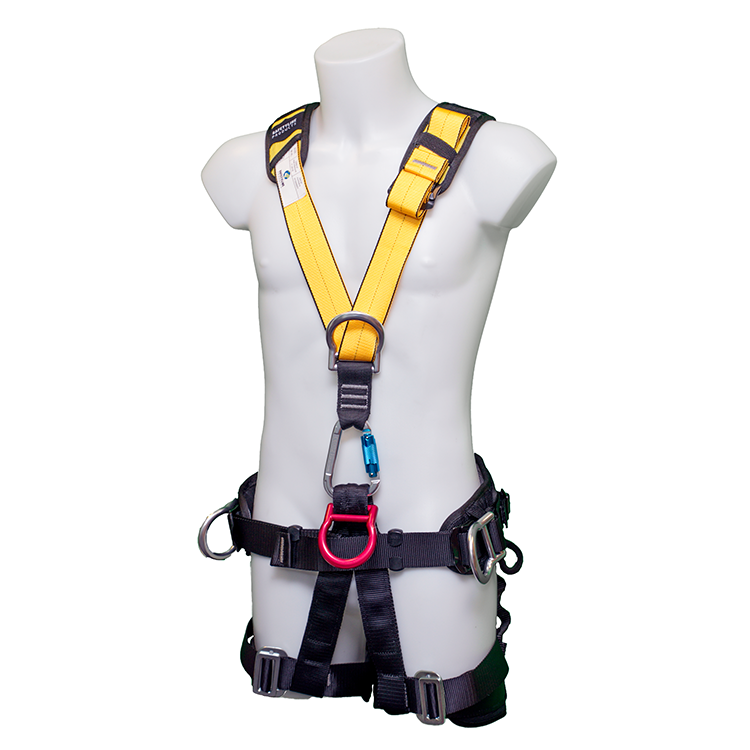 5 point Harness